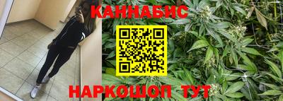 шишки Кингисепп