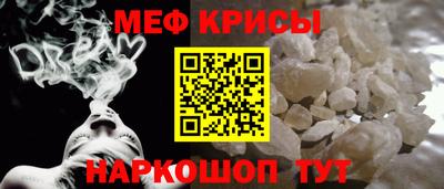 шишки Кингисепп