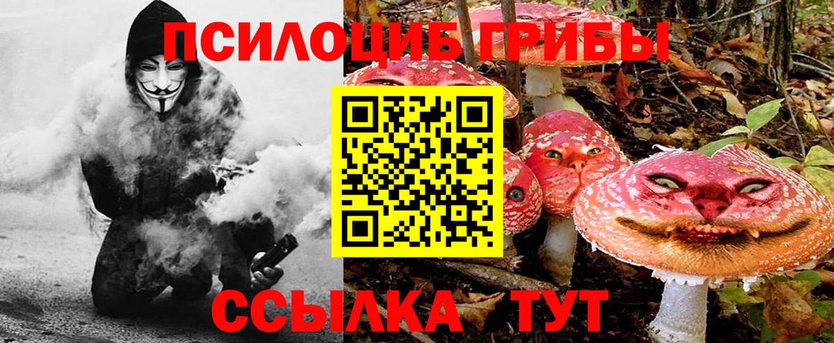 Псилоцибиновые грибы MAGIC MUSHROOMS Коркино