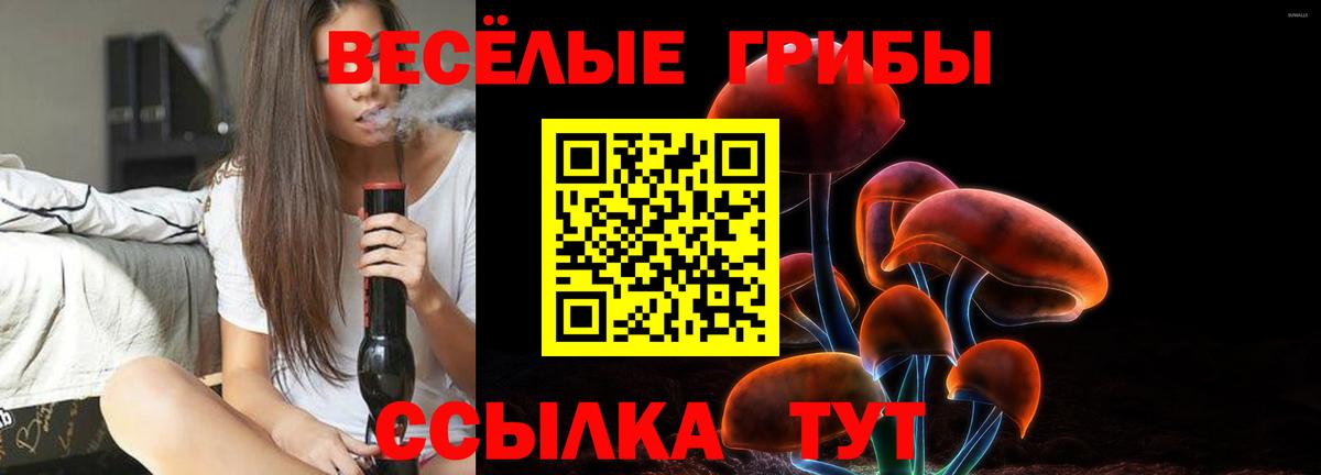 Коркино  Псилоцибиновые грибы GOLDEN TEACHER  Вход с VPN  Псилоцибиновые грибы прущие грибы 